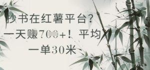抄书在小红薯平台？平均一单30米，一天收益几张！ - 网赚资源网-网赚资源网