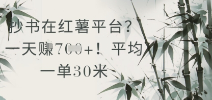 抄书在小红薯平台？平均一单30米，一天收益几张！ - 网赚资源网-网赚资源网