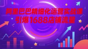 阿里巴巴精细化运营实战课，引爆1688店铺流量 - 网赚资源网-网赚资源网