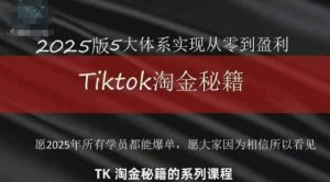 TikTok跨境2025淘金秘籍，​2025TikTok从0到盈利变现 - 网赚资源网-网赚资源网