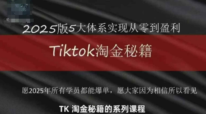 TikTok跨境2025淘金秘籍，​2025TikTok从0到盈利变现 - 网赚资源网-网赚资源网