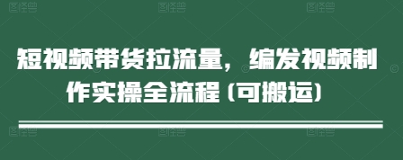 短视频带货拉流量，编发视频制作实操全流程(可搬运) - 网赚资源网-网赚资源网