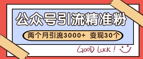 公众号精准粉引流玩法，2个月3000+精准粉，变现30个W【揭秘】 - 网赚资源网-网赚资源网