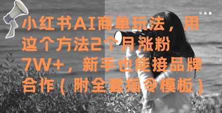 小红书AI商单玩法，用这个方法2个月涨粉7W+，新手也能接品牌合作(附全套指令模板) - 网赚资源网-网赚资源网
