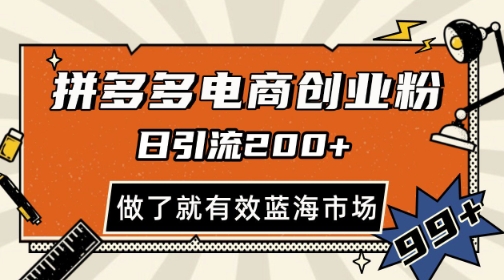 拼多多引流电商创业粉，日引200+，可矩阵放大，做了就有效【揭秘】 - 网赚资源网-网赚资源网