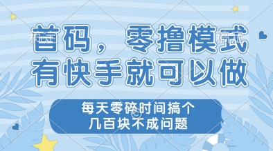 首码，零撸模式，有快手就可以做，每天零碎时间搞个几张不成问题【揭秘】 - 网赚资源网-网赚资源网