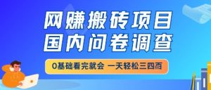网创搬砖项目,国内问卷调查,小白轻松上手,一天三四张的也不难,干就完了【揭秘】 - 网赚资源网-网赚资源网
