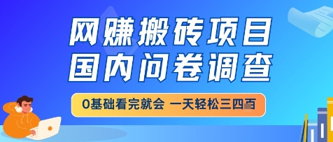 网创搬砖项目，国内问卷调查，小白轻松上手，一天三四张的也不难，干就完了【揭秘】 - 网赚资源网-网赚资源网