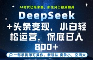DeepSeek+头条变现,保姆级教学,小白轻松上手,日入8张+【揭秘】 - 网赚资源网-网赚资源网