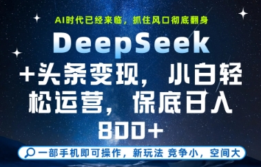 DeepSeek+头条变现，保姆级教学，小白轻松上手，日入8张+【揭秘】 - 网赚资源网-网赚资源网