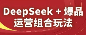 DeepSeek+爆品运营组合玩法，2025淘系精品课 - 网赚资源网-网赚资源网