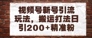 视频号新号引流玩法，搬运打法日引200+精准粉，可矩阵放大【揭秘】 - 网赚资源网-网赚资源网