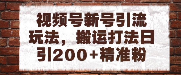 视频号新号引流玩法，搬运打法日引200+精准粉，可矩阵放大【揭秘】 - 网赚资源网-网赚资源网