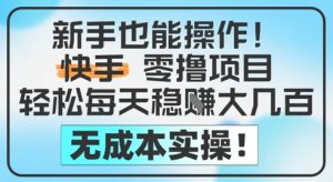 新手也能操作，快手零撸挣米，轻松每天挣2-5张，完全无成本 - 网赚资源网-网赚资源网