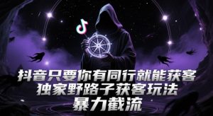 抖音只要你有同行就能获客，独家野路子获客玩法，暴力截流【揭秘】-网赚资源网