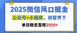 2025微信风口掘金,公众号+小程序双管齐下,单日稳定变现1k+【揭秘】-网赚资源网