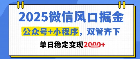 2025微信风口掘金，公众号+小程序双管齐下，单日稳定变现1k+【揭秘】 - 网赚资源网-网赚资源网