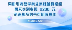 男粉引流教学美女常规跳舞视频两天实测变现1k+,不违规不封号可矩阵操作-网赚资源网