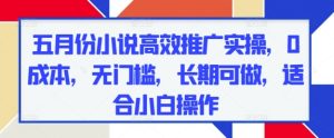 五月份小说高效推广实操,0成本,无门槛,长期可做,适合小白操作-网赚资源网