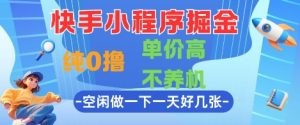 快手小程序掘金，纯0撸，单价高不养机 利用空闲时间做一做，一天好几张【揭秘】 - 网赚资源网-网赚资源网