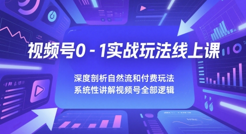 视频号0-1实战玩法线上课，深度剖析自然流和付费玩法，统性讲解视频号全部逻辑 - 网赚资源网-网赚资源网