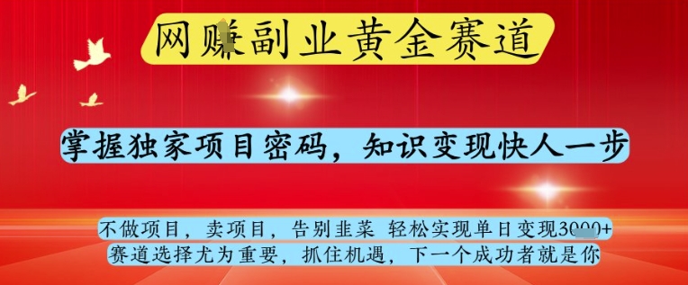 网创副业黄全赛道，掌握独家项目密码，知识变现快人一步，告别韭菜轻松实现单日变现1k+【揭秘】 - 网赚资源网-网赚资源网