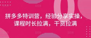 拼多多特训营,经验分享实操,课程时长拉满,干货拉满(更新25年4月)-网赚资源网