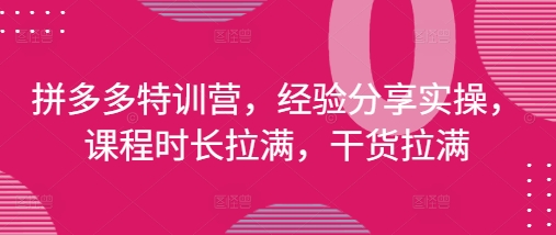 拼多多特训营，经验分享实操，课程时长拉满，干货拉满(更新25年4月) - 网赚资源网-网赚资源网