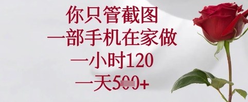 你只管截图，一部手机在家可以做，一小时120.一天5张+【揭秘】 - 网赚资源网-网赚资源网