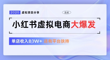 小红书虚拟电商项目，平台大力免费流量扶持，低门槛1拖3玩法 - 网赚资源网-网赚资源网
