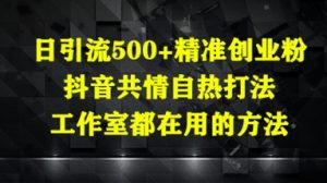 日引流500+精准创业粉,抖音共情自热打法,工作室都在用的方法-网赚资源网