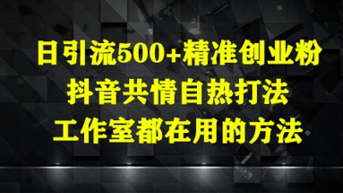 日引流500+精准创业粉，抖音共情自热打法，工作室都在用的方法-网赚资源网