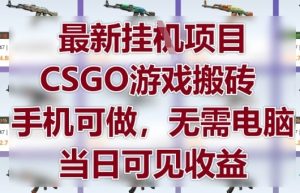 最新挂G项目，CSGO游戏搬砖，手机可做，无需电脑，当日见收益【揭秘】-网赚资源网