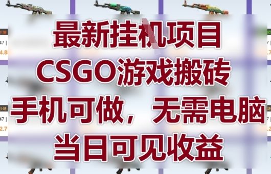 最新挂G项目，CSGO游戏搬砖，手机可做，无需电脑，当日见收益【揭秘】 - 网赚资源网-网赚资源网