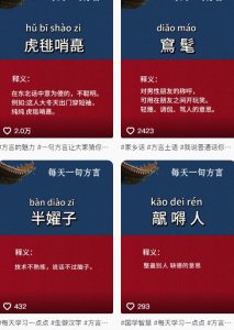 抖音最新涨粉玩法,图文方言暴力涨粉实操,126作品涨粉11W-网赚资源网