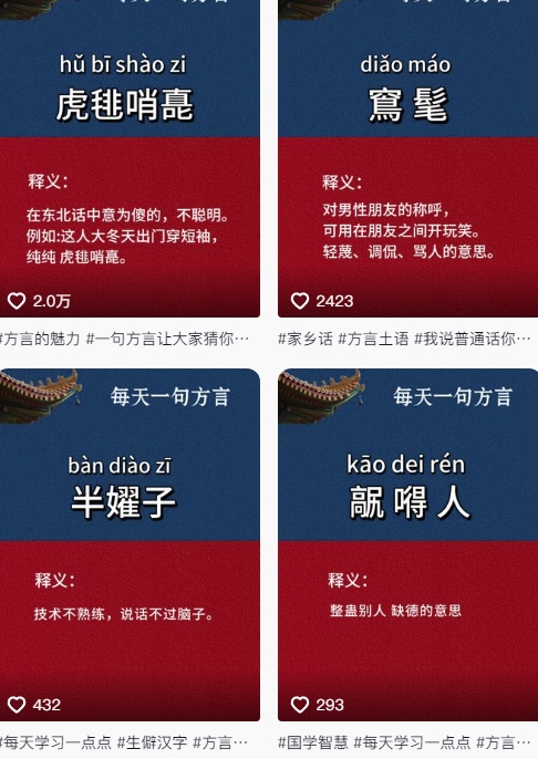 抖音最新涨粉玩法，图文方言暴力涨粉实操，126作品涨粉11W - 网赚资源网-网赚资源网