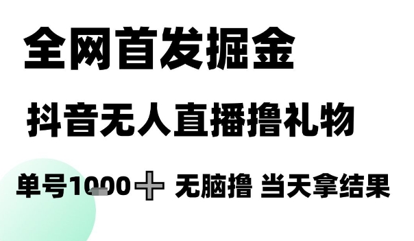 全网首发掘金抖音无人直播撸礼物，单号1k +无脑撸，当天拿结果【揭秘】-网赚资源网