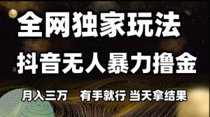 全网独家玩法抖音无人暴力撸金，月入3W，有手就行，当天拿结果【揭秘】-网赚资源网
