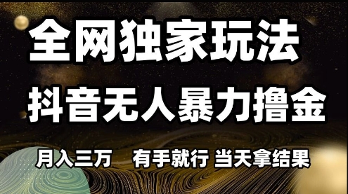 全网独家玩法抖音无人暴力撸金，月入3W，有手就行，当天拿结果【揭秘】 - 网赚资源网-网赚资源网