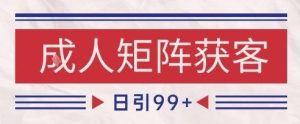 小红书某音橙人赛道引流获客，自热矩阵日引200+【揭秘】-网赚资源网