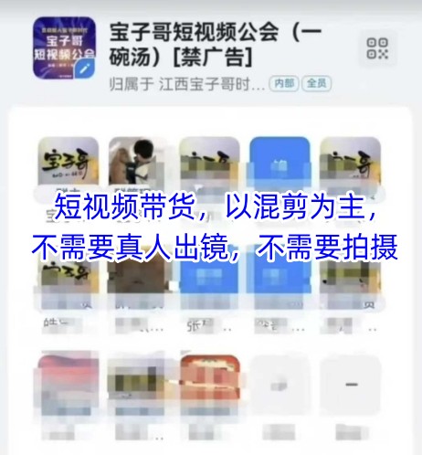 宝子哥头部团队短视频带货，以混剪为主，不需要真人出镜，不需要拍摄【更新】 - 网赚资源网-网赚资源网