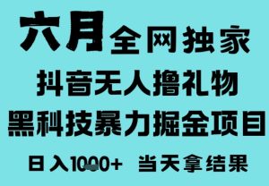 25年6月高爆抖音无人直播最新撸音浪掘金项目，门槛低小白可做，无脑日入1k，可矩阵放大【揭秘】-网赚资源网