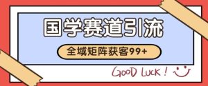 小红书某音国学赛道引流获客 自热矩阵日引200+【揭秘】-网赚资源网