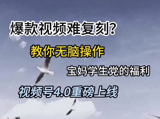 视频号4.0重磅上线，爆款视频难复刻？教你无脑操作宝妈学生党的福利【揭秘】 - 网赚资源网-网赚资源网