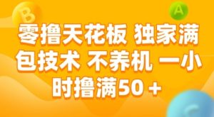 零撸天花板，独家满包技术 不养机 一小时撸满50+【揭秘】-网赚资源网