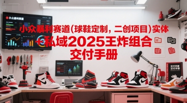 小众暴利赛道(球鞋定制，二创项目)实体+私域2025王炸组合  交付手册 - 网赚资源网-网赚资源网