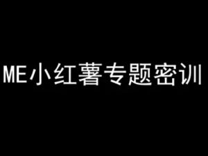 ME小红薯专题密训-小红书电商教程-网赚资源网