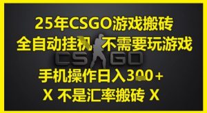25年CSGO游戏搬砖，全自动运行，不需要玩游戏，手机操作日入3张(不是汇率搬砖)【揭秘】 - 网赚资源网-网赚资源网