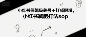 小红书保姆级养号+打减肥粉,小红书减肥打法sop-网赚资源网