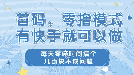 首码，零撸模式，有快手就可以做，每天零碎时间搞个几张不成问题【揭秘】-网赚资源网